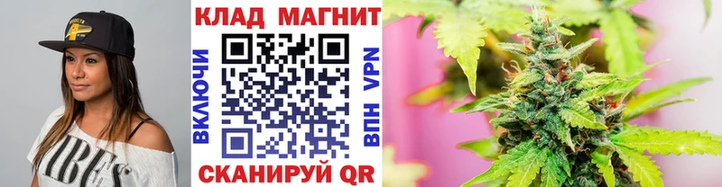Бошки Шишки Кондрово