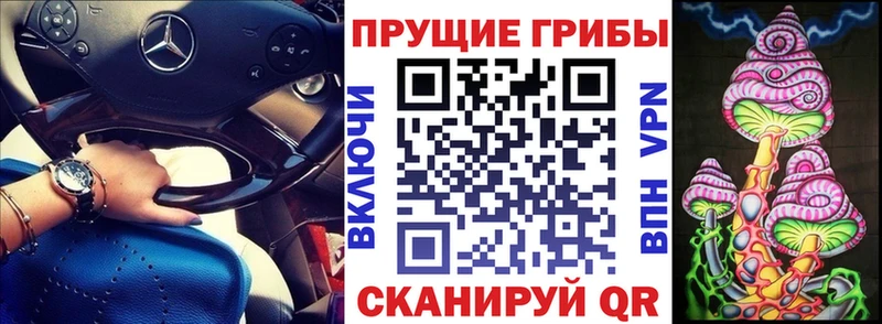 Псилоцибиновые грибы Psilocybe  MEGA ССЫЛКА  Кондрово 